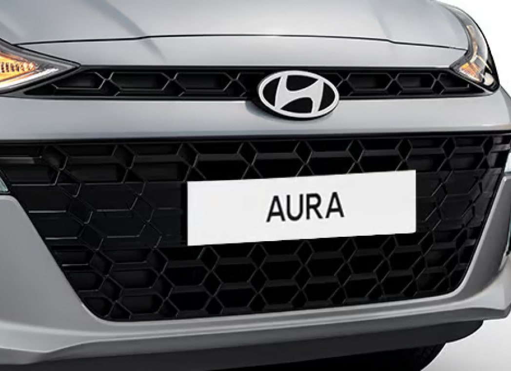 Painted black radiator grille