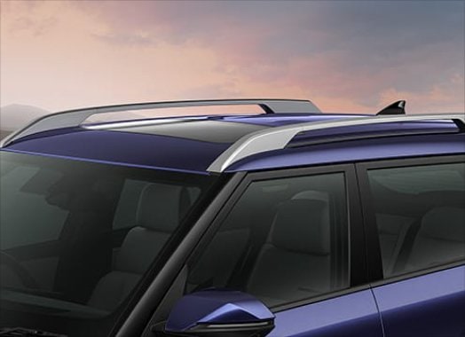 Bridge Type Roof Rails
